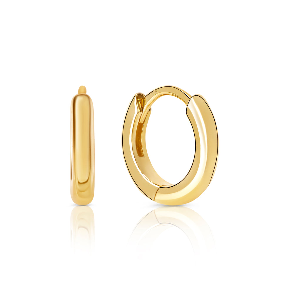 Bailey Small Hoop Earrings E367