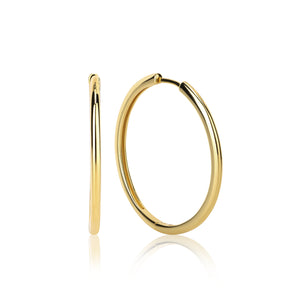 Bailey Large Hoop Earrings E374