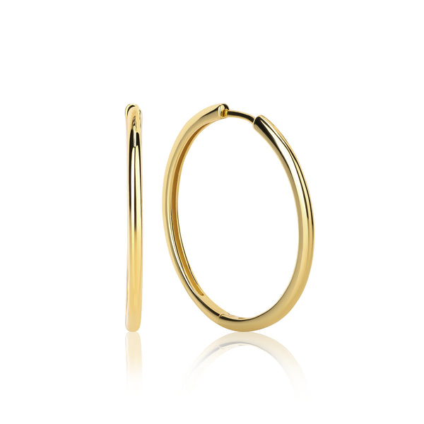 Bailey Large Hoop Earrings E374